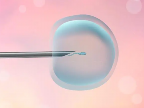 2026年温州做三代试管最好的医院介绍!温州哪里可以做三代试管!