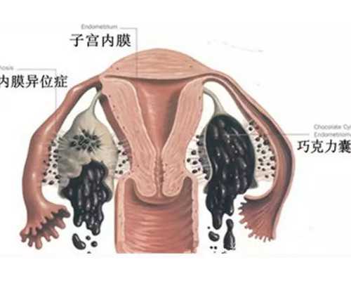 包成功代怀孕网_包成功生子,一条杠就是没怀孕(验孕棒六个不准的情况)