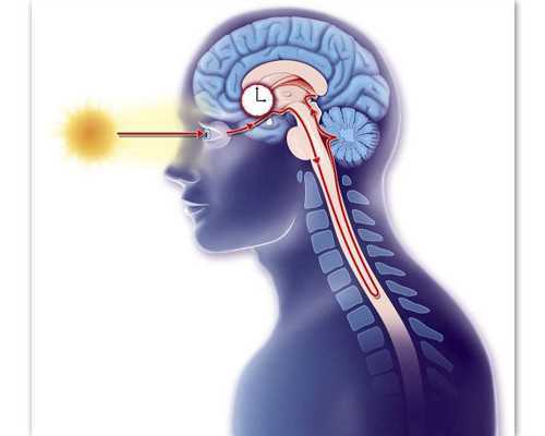 代孕生殖中心包成功,2026江苏省人民医院三代供卵试管费用一览,附江苏三代试