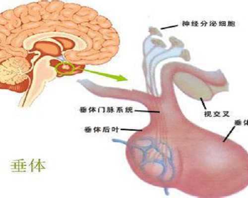 包生儿子多少钱_借卵子包男孩,请问我女儿怀孕31周之前DNAnt和四维一切
