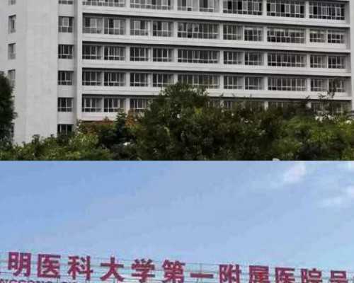 妊娠后移植优质胚胎未必一定成功,影响因素不仅仅是质量