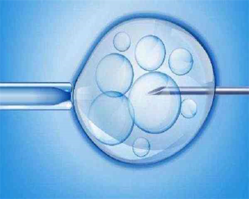 三代供卵试管婴儿技术已普及陕西试管医院可申请
