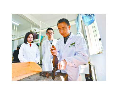 温州正规医院做试管婴儿成本多少(在温州做试管大概要多少钱)