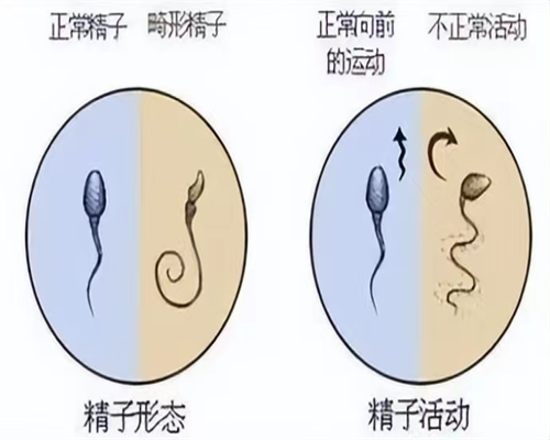 温州试管私人机构Top10排行(温州试管婴儿医院排名最好)